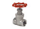 1/4&quot; to 4&quot; Stainless Steel Gate Valve CF8M NPT Thread PN16 ASTM Standard supplier